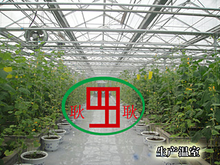 陽光板